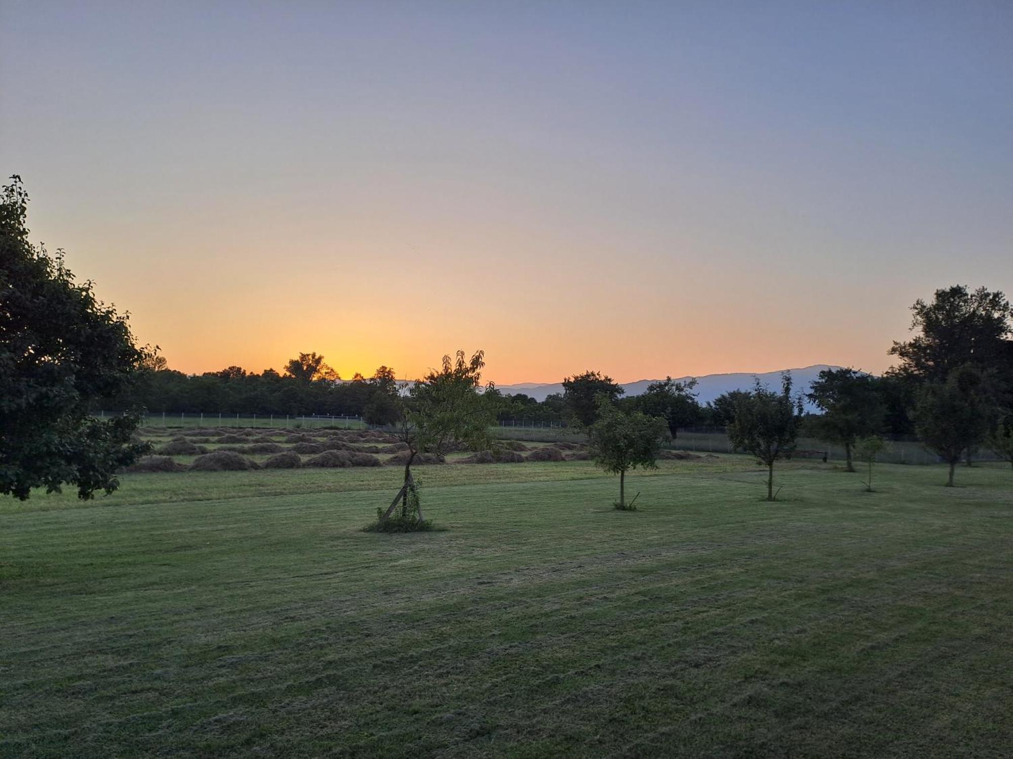 Azienda Agrituristica Ai Prai Castello Di Godego Exteriér fotografie